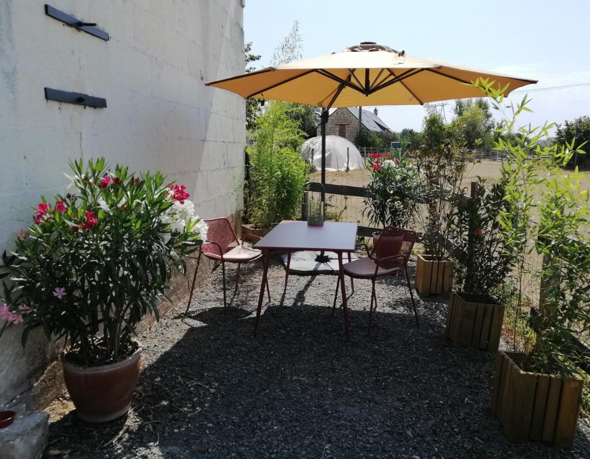 Bel Appt 3 Pieces, A L'Etage, Jardin Privatif, Au Calme, 10 Mn Saumur Et Cnpe Varennes-sur-Loire Eksteriør billede